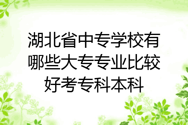 湖北省中专学校有哪些大专专业比较好考专科本科