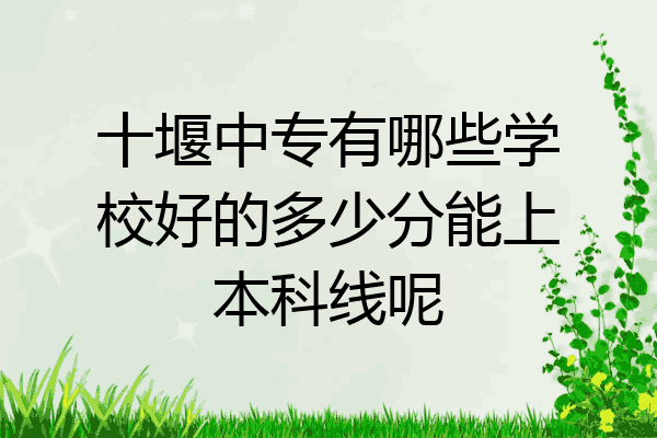 十堰中专有哪些学校好的多少分能上本科线呢
