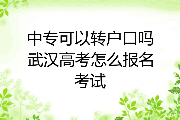 中专可以转户口吗武汉高考怎么报名考试