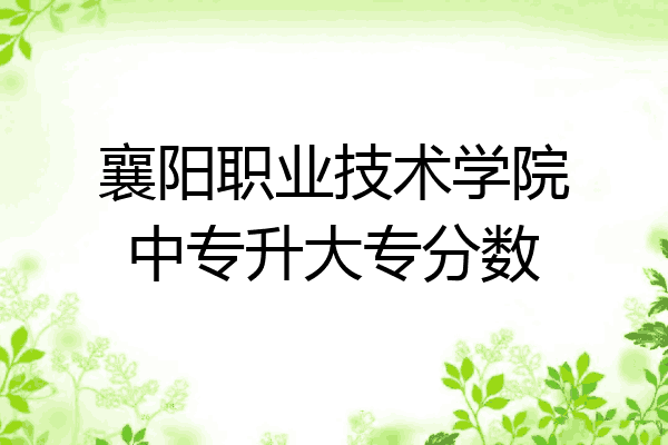 襄阳职业技术学院中专升大专分数