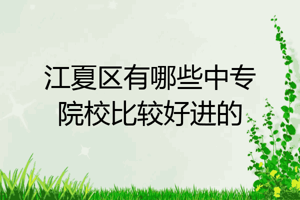 江夏区有哪些中专院校比较好进的