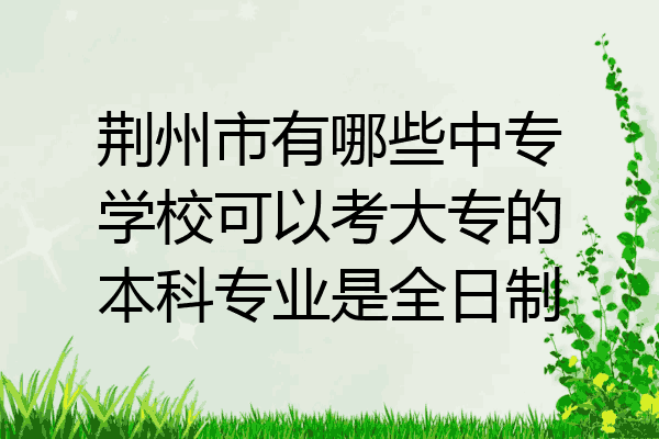 荆州市有哪些中专学校可以考大专的本科专业是全日制
