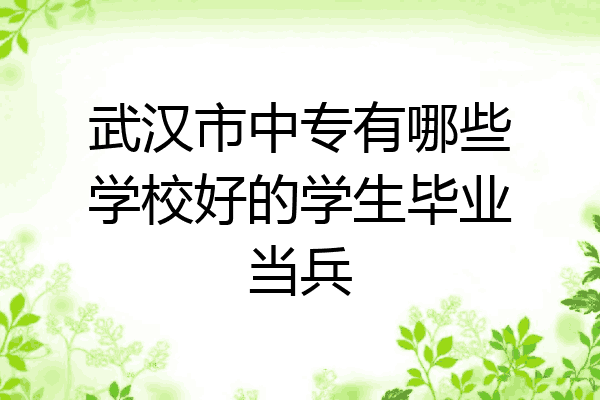 武汉市中专有哪些学校好的学生毕业当兵