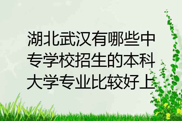 湖北武汉有哪些中专学校招生的本科大学专业比较好上