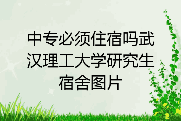 中专必须住宿吗武汉理工大学研究生宿舍图片
