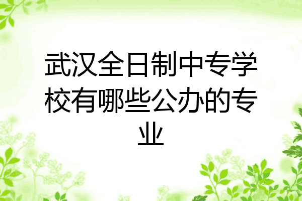 武汉全日制中专学校有哪些公办的专业