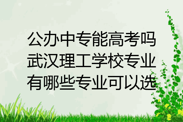 公办中专能高考吗武汉理工学校专业有哪些专业可以选