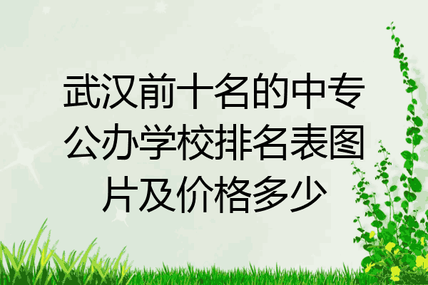 武汉前十名的中专公办学校排名表图片及价格多少