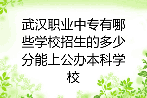 武汉职业中专有哪些学校招生的多少分能上公办本科学校