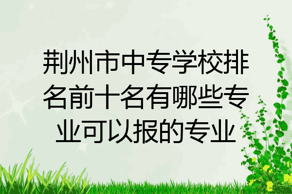 荆州市中专学校排名前十名有哪些专业可以报的专业