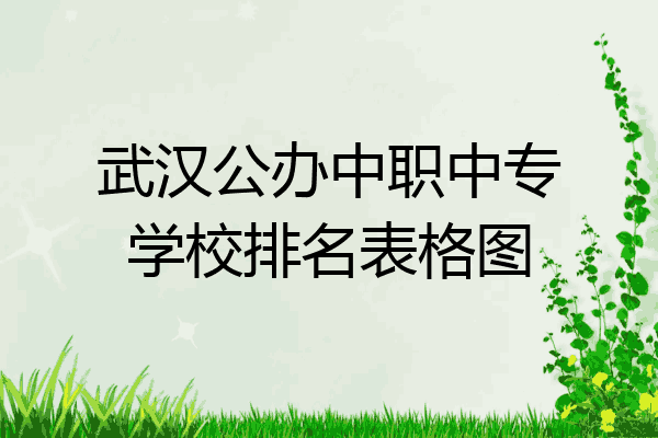 武汉公办中职中专学校排名表格图