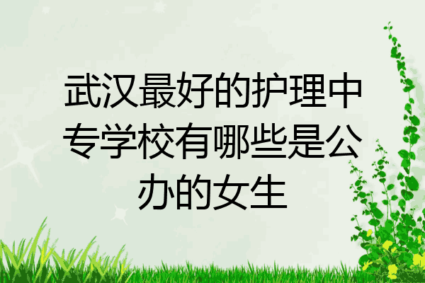 武汉最好的护理中专学校有哪些是公办的女生
