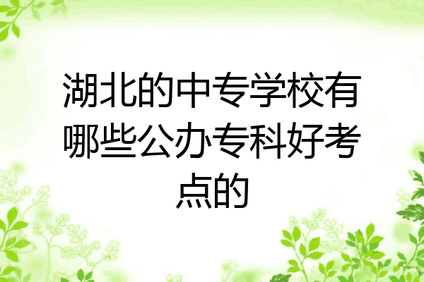 湖北的中专学校有哪些公办专科好考点的