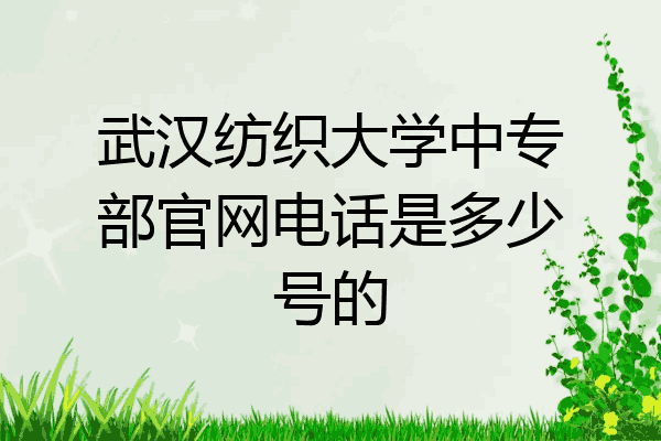 武汉纺织大学中专部官网电话是多少号的