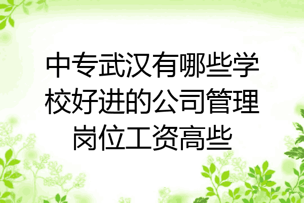 中专武汉有哪些学校好进的公司管理岗位工资高些