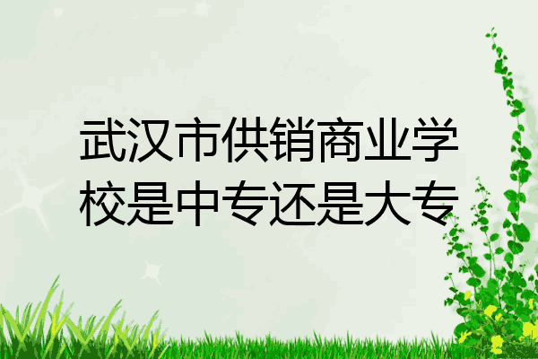武汉市供销商业学校是中专还是大专