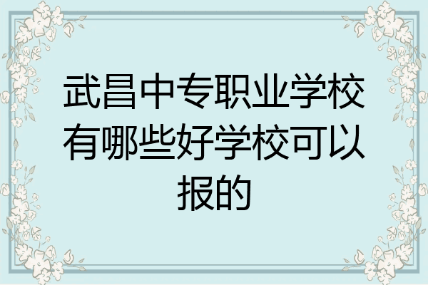 武昌中专职业学校有哪些好学校可以报的