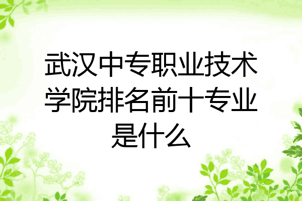 武汉中专职业技术学院排名前十专业是什么