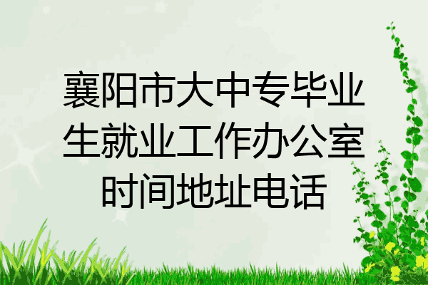 襄阳市大中专毕业生就业工作办公室时间地址电话