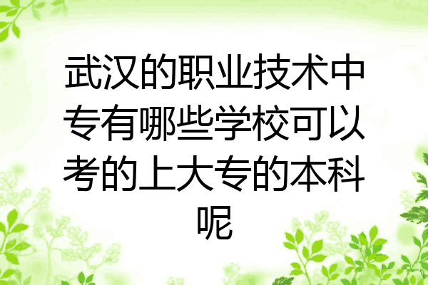 武汉的职业技术中专有哪些学校可以考的上大专的本科呢