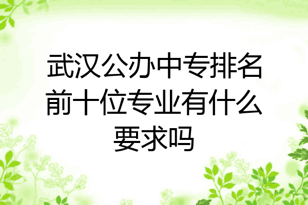 武汉公办中专排名前十位专业有什么要求吗