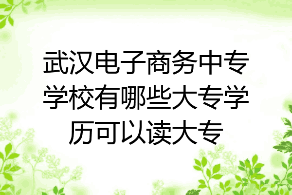 武汉电子商务中专学校有哪些大专学历可以读大专