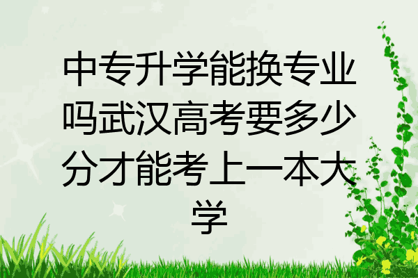中专升学能换专业吗武汉高考要多少分才能考上一本大学