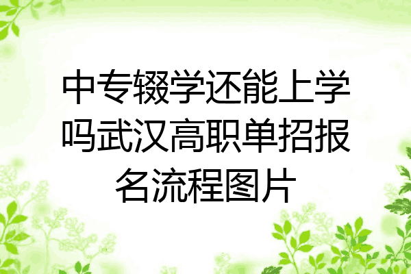 中专辍学还能上学吗武汉高职单招报名流程图片