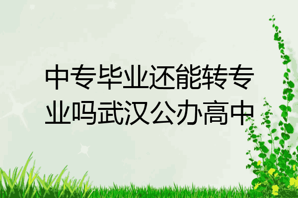 中专毕业还能转专业吗武汉公办高中