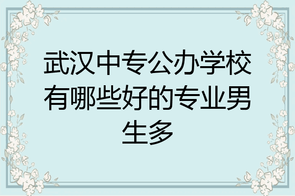 武汉中专公办学校有哪些好的专业男生多