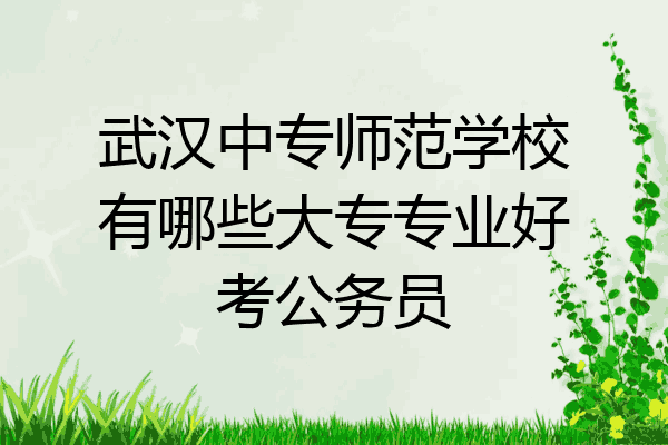 武汉中专师范学校有哪些大专专业好考公务员