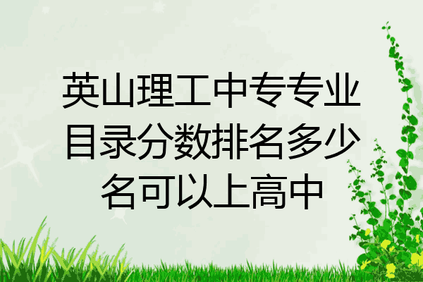 英山理工中专专业目录分数排名多少名可以上高中