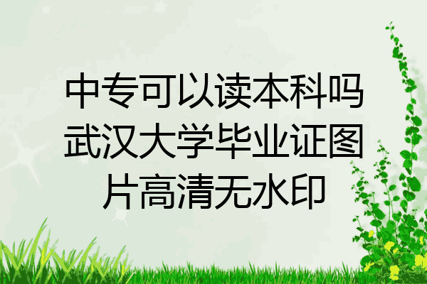 中专可以读本科吗武汉大学毕业证图片高清无水印