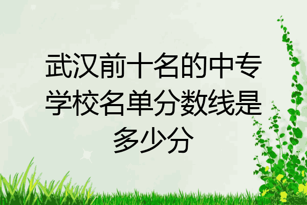 武汉前十名的中专学校名单分数线是多少分