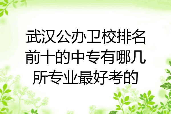 武汉公办卫校排名前十的中专有哪几所专业最好考的