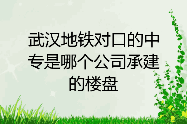 武汉地铁对口的中专是哪个公司承建的楼盘