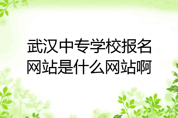 武汉中专学校报名网站是什么网站啊