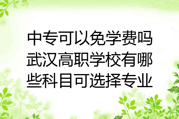 中专可以免学费吗武汉高职学校有哪些科目可选择专业