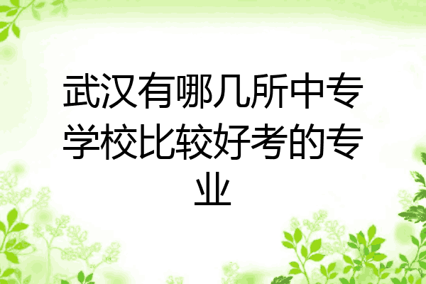 武汉有哪几所中专学校比较好考的专业