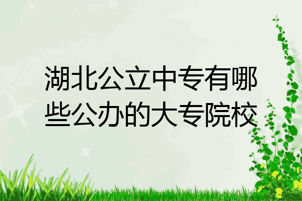 湖北公立中专有哪些公办的大专院校