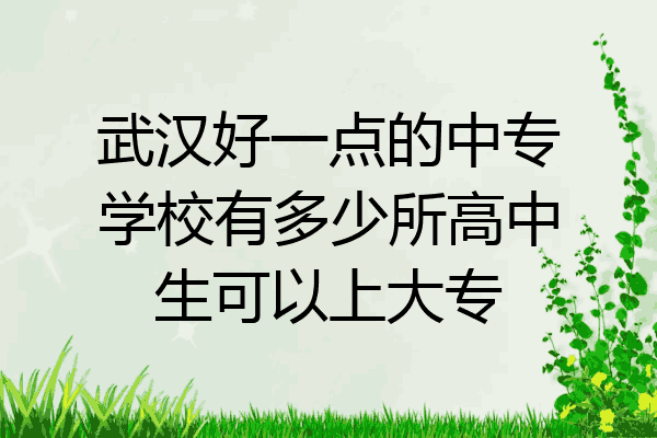 武汉好一点的中专学校有多少所高中生可以上大专