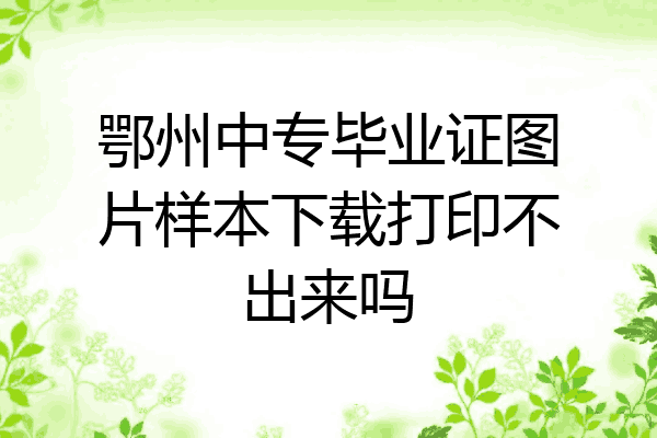 鄂州中专毕业证图片样本下载打印不出来吗