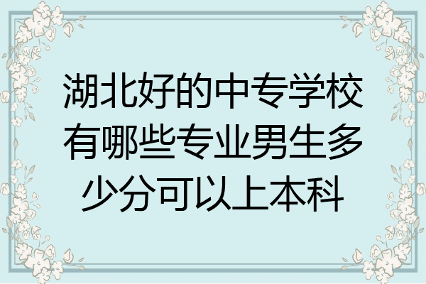 湖北好的中专学校有哪些专业男生多少分可以上本科