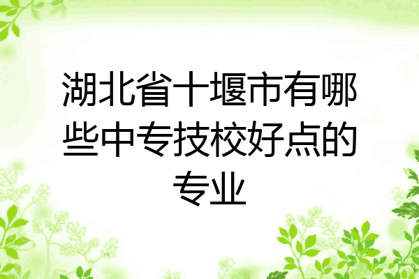 湖北省十堰市有哪些中专技校好点的专业