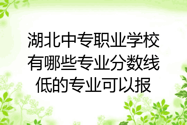 湖北中专职业学校有哪些专业分数线低的专业可以报
