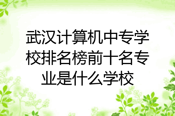 武汉计算机中专学校排名榜前十名专业是什么学校