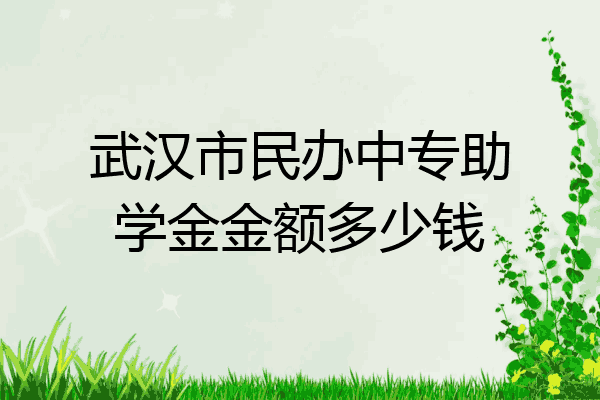 武汉市民办中专助学金金额多少钱