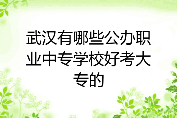 武汉有哪些公办职业中专学校好考大专的