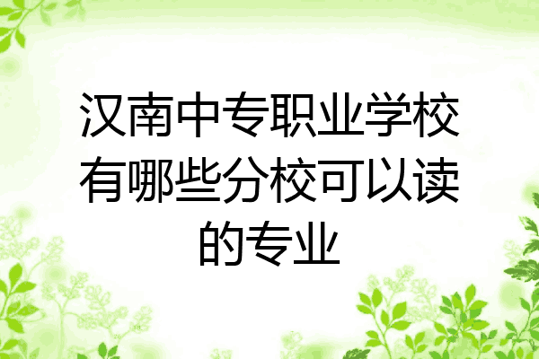 汉南中专职业学校有哪些分校可以读的专业
