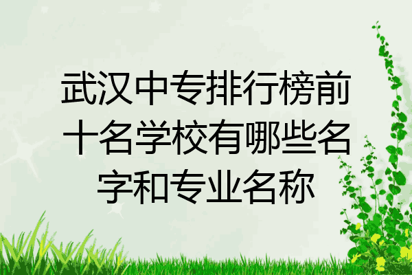 武汉中专排行榜前十名学校有哪些名字和专业名称